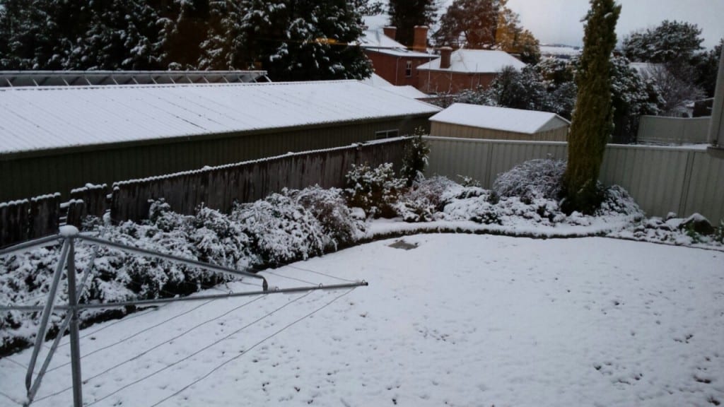 Snow in a backyard