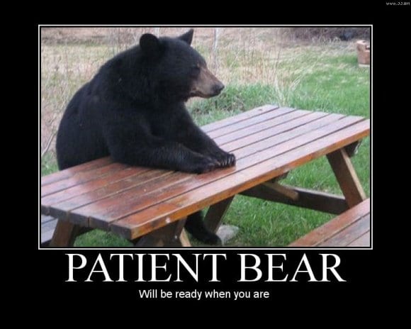 Bear seated at picnic table