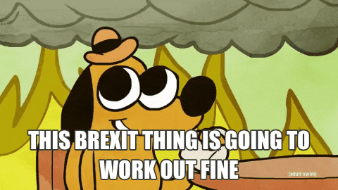 "This Brexit thing is going to workout fine". Image: Gify.com