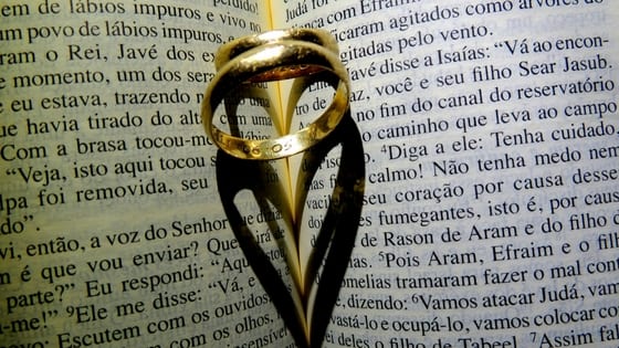 two rings in pages of a book with shadow forming a heart