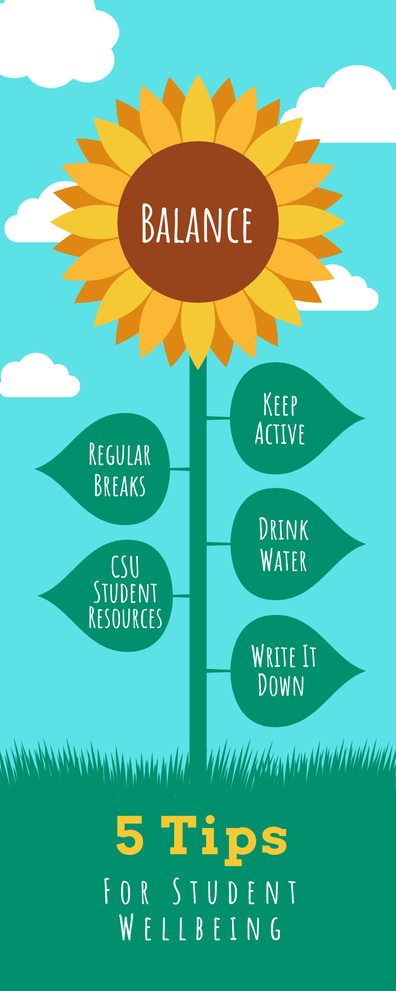My top 5 tips for wellbeing – Charlie | Your Student Blog