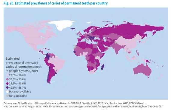 Permanent teeth