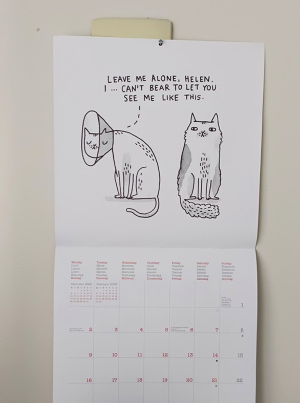 Having a calendar helps keep you on track.