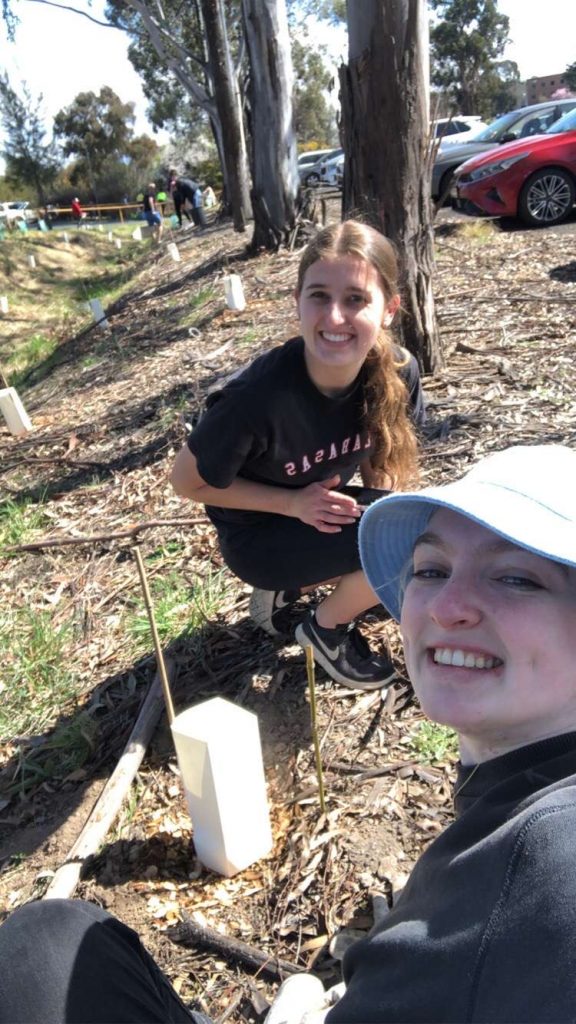 Planting trees on campus.