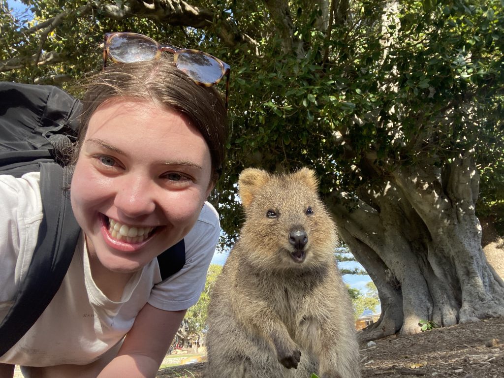 Quokka