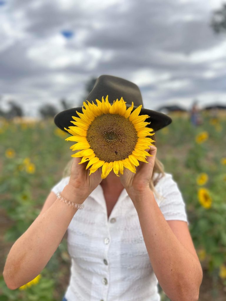 Canowindra Sunflower Farm.