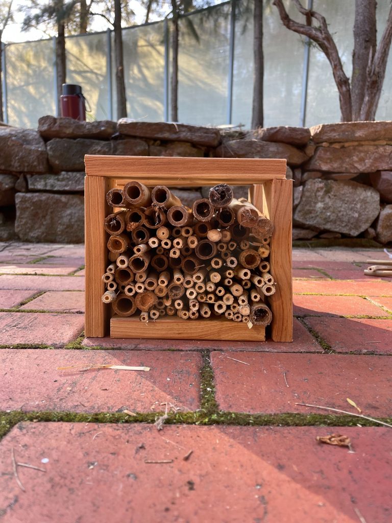 Albury Enviro Club creating 'Bee Hotels'.