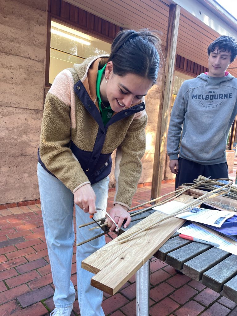 Albury Enviro Club creating 'Bee Hotels'.