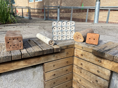 Albury Enviro Club creating 'Bee Hotels'.