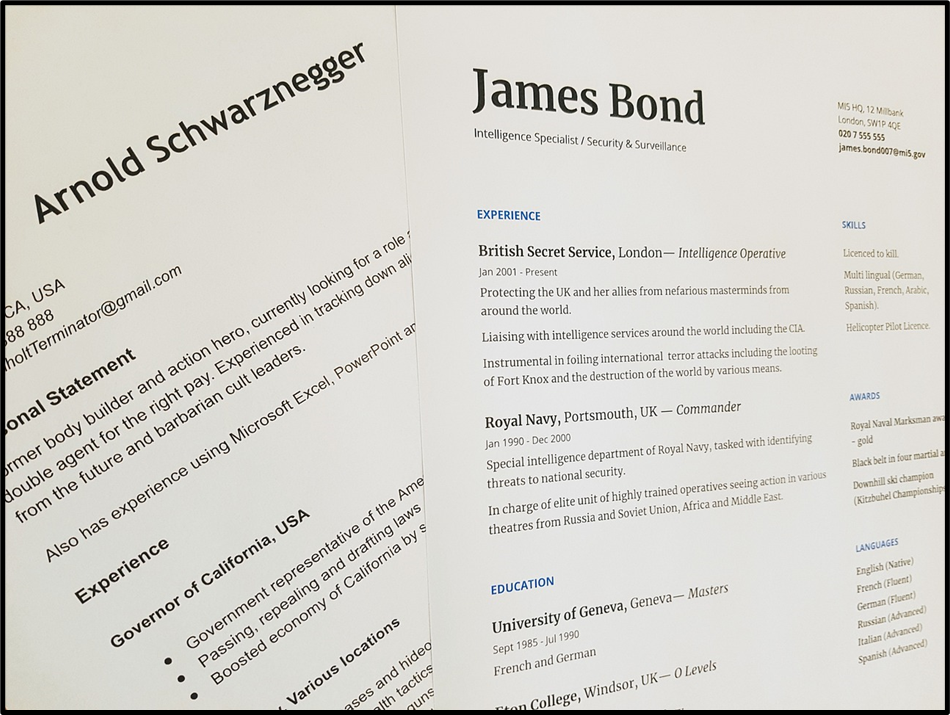 Examples of Resumes.