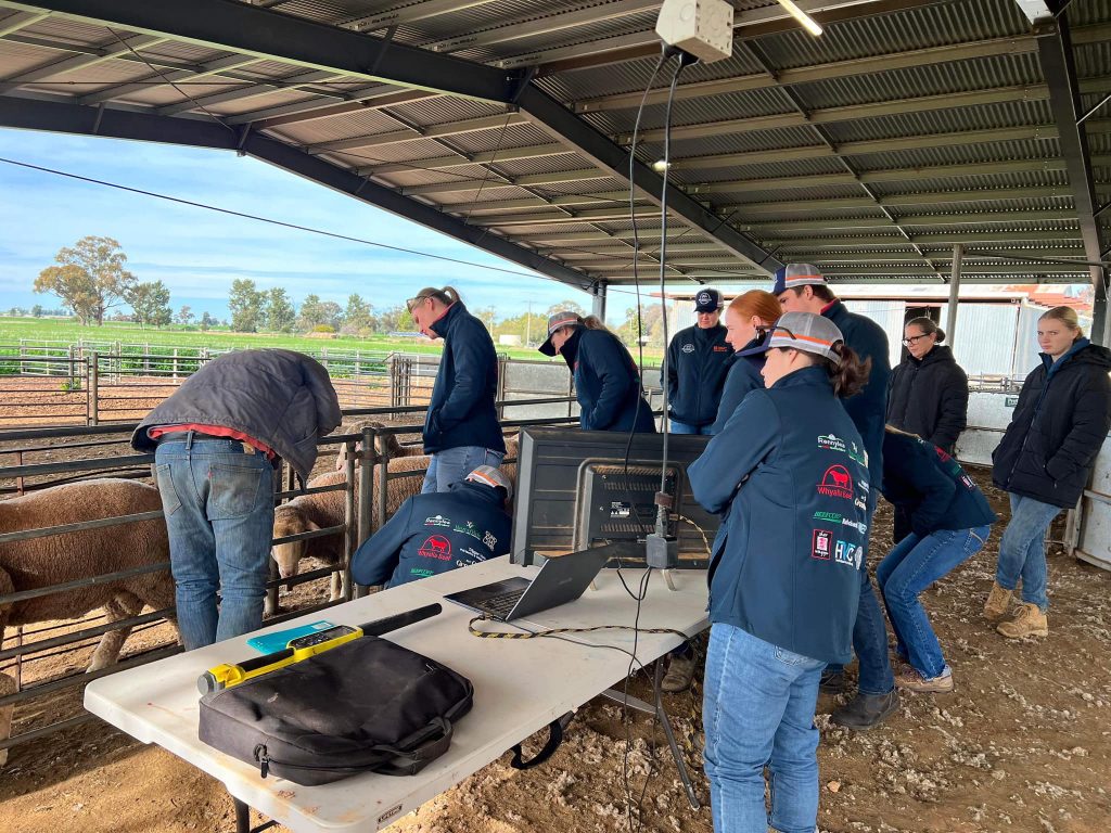 The Team visiting Teys Abattoir. [Photo taken from the Charles Sturt MJC Facebook Page.]