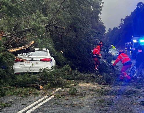 Me (right) assisting to free a vehicle trapped under a tree.