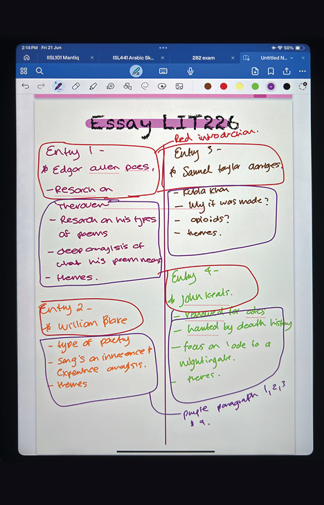 how to write an intro for a essay